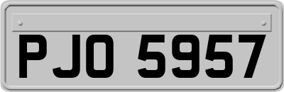 PJO5957
