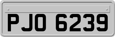 PJO6239