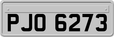 PJO6273