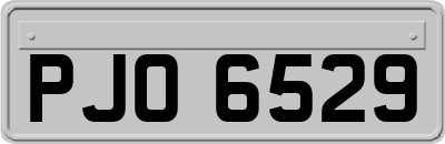 PJO6529