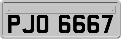 PJO6667