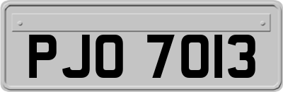 PJO7013