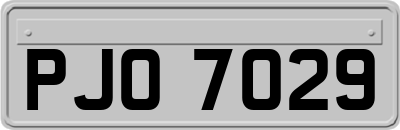 PJO7029