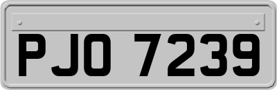 PJO7239
