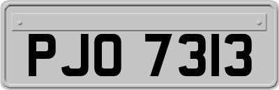 PJO7313
