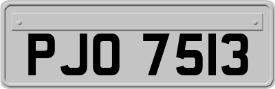 PJO7513