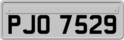 PJO7529