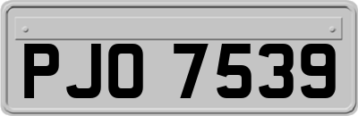 PJO7539