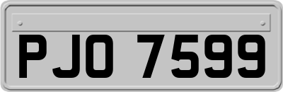 PJO7599