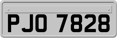 PJO7828