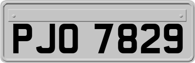PJO7829