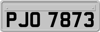 PJO7873