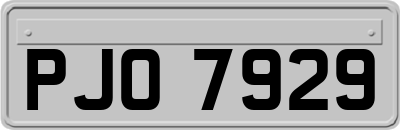 PJO7929