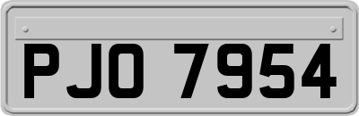 PJO7954
