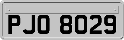 PJO8029