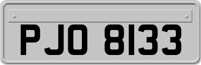 PJO8133