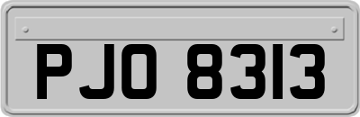 PJO8313