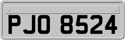 PJO8524