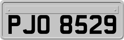 PJO8529