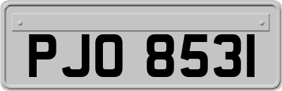 PJO8531