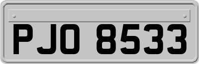 PJO8533