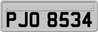 PJO8534