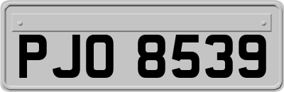 PJO8539