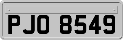 PJO8549