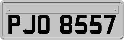 PJO8557