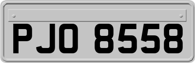 PJO8558