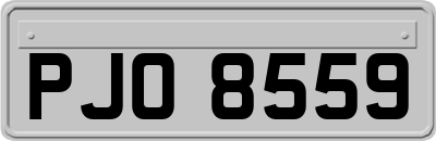 PJO8559