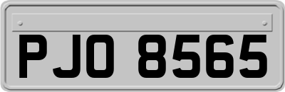 PJO8565
