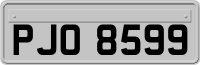 PJO8599