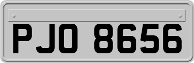 PJO8656