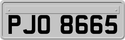 PJO8665