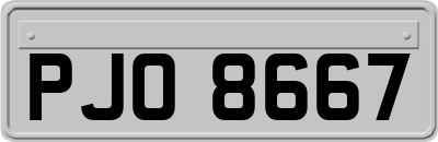 PJO8667
