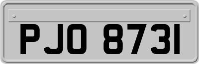 PJO8731