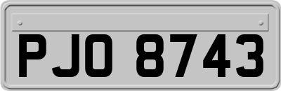 PJO8743