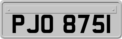 PJO8751