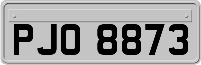 PJO8873