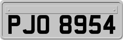PJO8954
