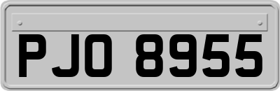 PJO8955