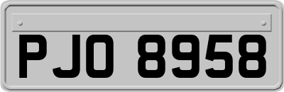 PJO8958