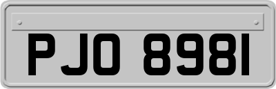 PJO8981