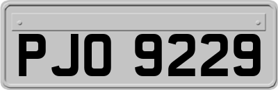 PJO9229