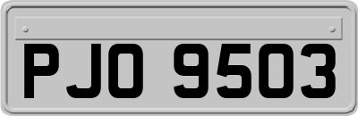 PJO9503