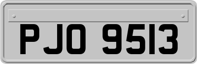 PJO9513