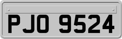 PJO9524