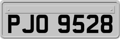 PJO9528