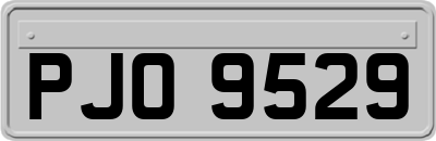 PJO9529